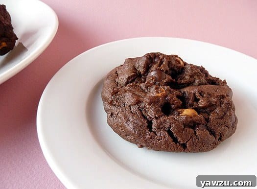 A salted double chocolate peanut butter cookie on a pristine white plate, showcasing its rich texture and tantalizing sprinkles of salt.