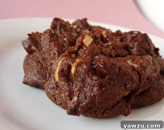 A closer look at a salted double chocolate peanut butter cookie on a white plate, highlighting its delicious texture, vibrant chocolate chips, and peanut accents.