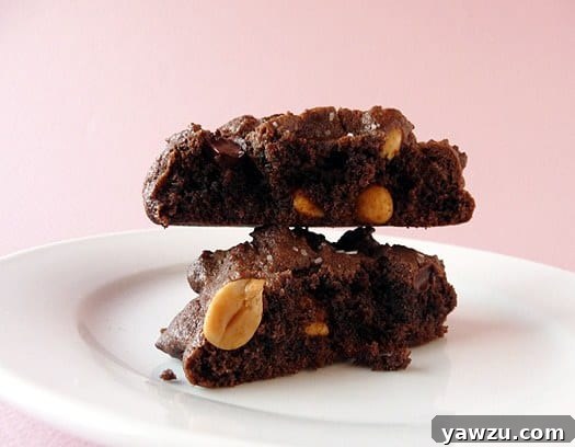 A salted double chocolate peanut butter cookie carefully broken in half, revealing its moist and chewy interior, with the halves artfully stacked on a white plate.