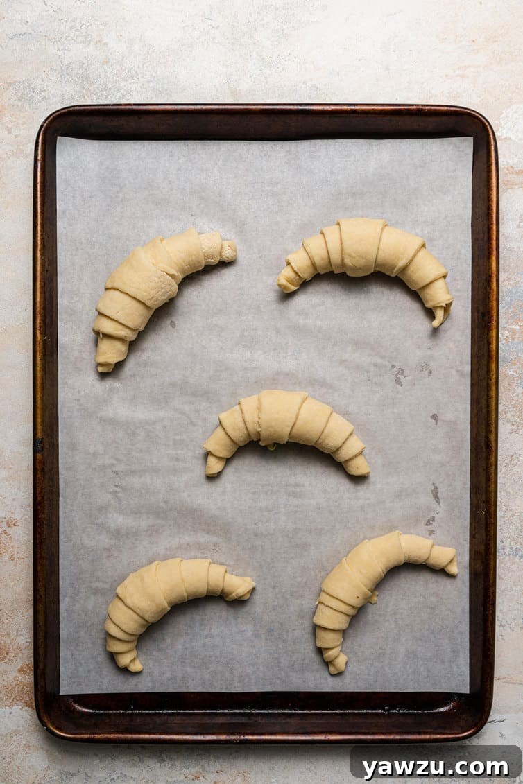 Shaped croissants resting and actively proofing on a baking sheet, visibly expanding and becoming puffy under a loose plastic cover.