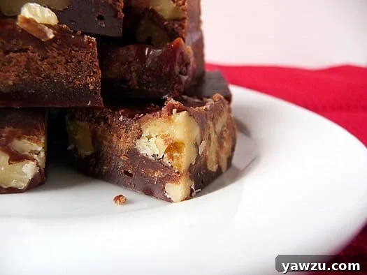 A close-up view of perfectly cut chocolate walnut fudge squares, showcasing their rich texture.