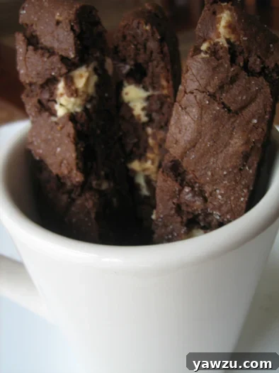 Rich chocolate biscotti pieces in a white ceramic mug, ready for dipping in coffee or tea.