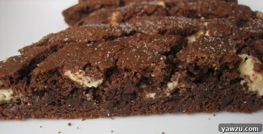 A single piece of chocolate biscotti resting on a simple white plate, showcasing its rich texture and any delightful additions.