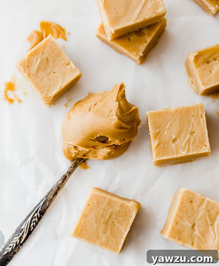 Delicious squares of peanut butter fudge next to a spoonful of creamy peanut butter, highlighting the main ingredient.