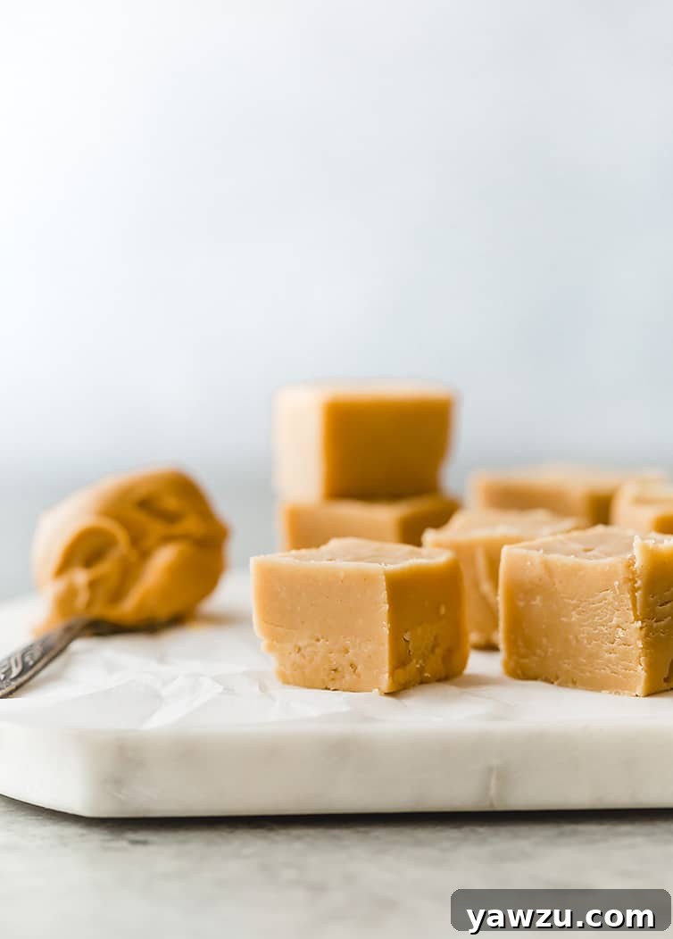 Squares of peanut butter fudge arranged next to a spoon with peanut butter on a marble slab, creating an appealing culinary display.