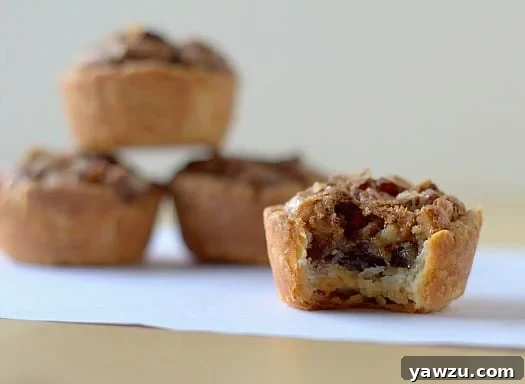 Pecan tassies with a bite taken from one.